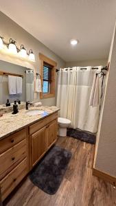 ein Bad mit einem Waschbecken, einem WC und einer Dusche in der Unterkunft Twinn Peaks Beautiful Modern Mountain Cabin Retreat-Cozy-Secluded-WiFi-Pets in Murphy