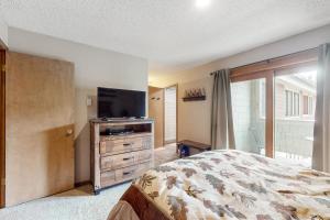 a bedroom with a bed and a flat screen tv at 250 Ski Hill Rd # 16 in Breckenridge