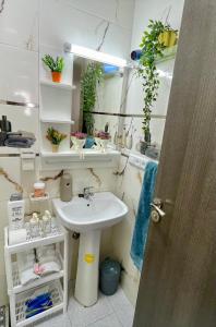 a bathroom with a sink and shelves with plants at S&H Home Martil Apartment in Martil