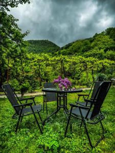 a table with two chairs and a table with flowers on it at Family hotel mountain panorama in Borjomi
