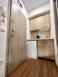 a kitchen with wooden cabinets and a door in a room at Studio apartment Sisters3 in Ljubljana