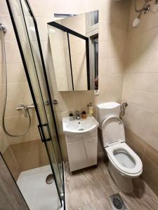a bathroom with a toilet and a sink and a shower at Studio apartment Sisters3 in Ljubljana