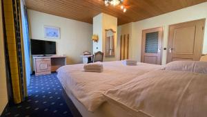 1 Schlafzimmer mit 2 Betten und einem Flachbild-TV in der Unterkunft Hotel Forellenhof in Pottenstein