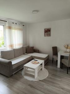 Apartman D في فيشغراد: غرفة معيشة مع أريكة وطاولة