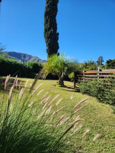 Dúplex La Falda في لا فالدا: حديقة فيها جلسة وعشب وشجرة