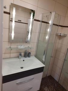 Kúpeľňa v ubytovaní Wohnung mit Charme in Pinsdorf