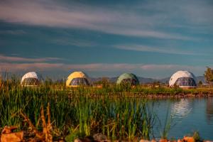 a group of domes in a field next to a body of water at The Hive in Willcox