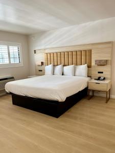 a bedroom with a large bed and a window at Nob Hill Motor Inn -Newly Updated Rooms! in San Francisco