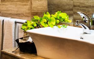 a bathroom with a sink with a plant in it at Hotel Aqualand in Plovdiv