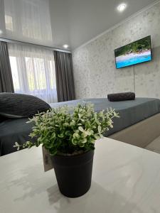 TV a/nebo společenská místnost v ubytování Вип 1 комн квартира на City center, Сити центр
