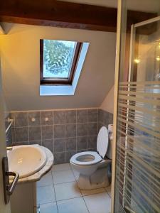 ein Bad mit einem WC, einem Waschbecken und einem Fenster in der Unterkunft gite La Forêt in Ungersheim