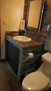 uma casa de banho com um lavatório e um WC em Cabaña/casa Wolf 