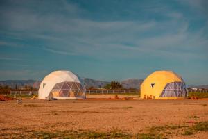 two domed tents in a field with mountains in the background at The Beer Dome in Willcox