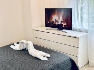 Photo de la galerie de l'établissement SofiApartment, à Oradea