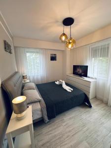 Photo de la galerie de l'établissement SofiApartment, à Oradea