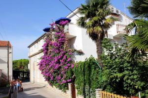 Zahrada ubytování Apartments J&R Babara