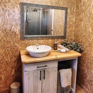 a bathroom with a sink and a mirror at Die Bloekomhuis in Ceres +12 photos