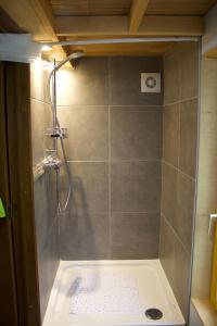 a bathroom with a shower with a shower at Les Jours Heureux Tiny House in Villers-le-Gambon