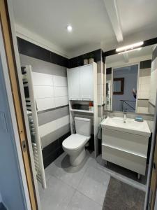 a small bathroom with a toilet and a sink at Whalecome Camargue in Aigues-Mortes +22 photos