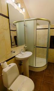 ドゥラウにあるHotel Bistritaのバスルーム(トイレ、洗面台、シャワー付)