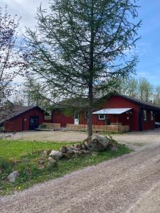 een boom voor een rode schuur bij Barts house in Länshult