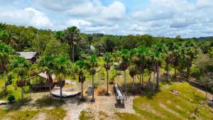 einen Blick über einen Park mit Palmen in der Unterkunft Ponta Poranga Jungle Lodge in Manaus