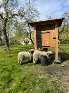 Fotografie z fotogalerie ubytování Appartement de Dageraad in monumentale boerderij v destinaci Kimswerd