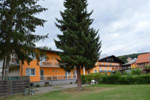 a pine tree in front of a building at Hotel Austria Self Checkin in Gablitz