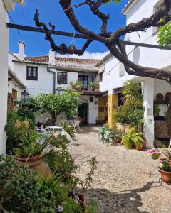 a courtyard of a house with a lot of plants at Hotel Rural Verde Oliva in Comares
