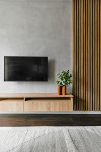 a flat screen tv sitting on top of a wooden entertainment center at Cracow Palm Apartment in Kraków