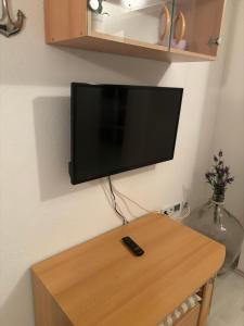 TV a/nebo společenská místnost v ubytování Apartment Juresko