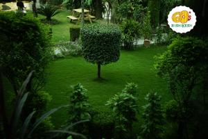 Gallery image of Green Hills Cottage Rishikesh in Rishīkesh +56 photos