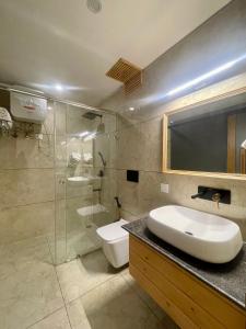 ein Bad mit einem Waschbecken, einem WC und einer Dusche in der Unterkunft Heryk Hillview Hotel in Dharamshala