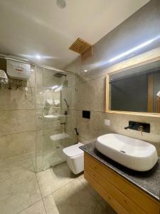 达兰萨拉Heryk Hillview Hotel的带水槽、马桶和淋浴的浴室