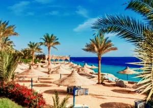 Sharm Hills Resort في شرم الشيخ: شاطئ فيه مظلات والنخيل والمحيط