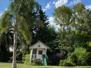 a small house in a yard with a palm tree at Doña Sara in Gualeguay