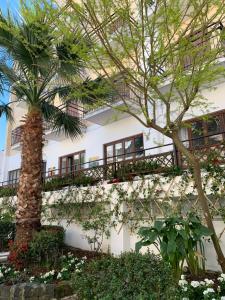 a building with a palm tree in front of it at Hotel Conte in Ischia
