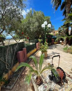 einen Garten mit einem Zaun und einer Palme in der Unterkunft Villa Azzurra Fronte Mare in Capitana