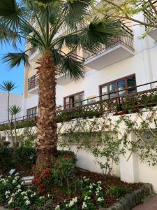 Zahrada ubytování Hotel Conte