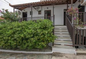 Zahrada ubytování Lilian Beachfront Apartments