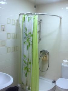 a bathroom with a shower with a green shower curtain at Mountain View Guesthouse in Dilijan