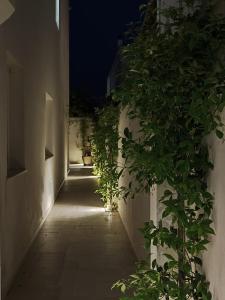un pasillo vacío con plantas al lado de un edificio en Casa Tizy, en Botrugno