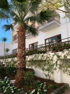 Zahrada ubytování Hotel Conte