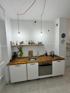 a kitchen with a sink and a counter top at Le allodole in Bellano