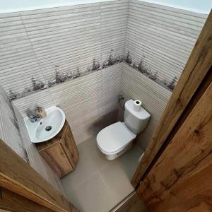 a small bathroom with a toilet and a sink at Rose Diamond Villa - cosy, large, family mobile home, free wifi and parking in Pakoštane