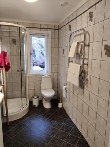 a bathroom with a toilet and a shower and a window at Nearby Bergen, Midtunlia 27d in Bergen +21 photos