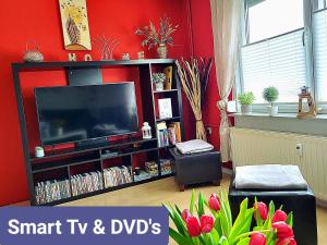 a living room with a flat screen tv and dvds at Am Feldrain in Hannoversch Münden