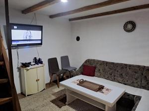 uma sala de estar com um sofá e uma televisão de ecrã plano em Natural House em Visoko
