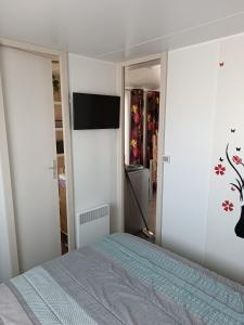 TV a/nebo společenská místnost v ubytování Mobile Homes Sous le Soleil