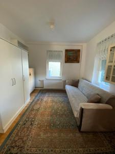 sala de estar con sofá y alfombra en Apartment in Vrnjacka Banja, en Vrnjačka Banja
